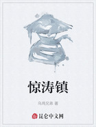 惊涛镇在线阅读