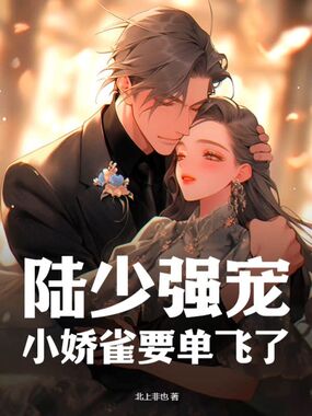 陆少强宠,小娇雀要单飞了在线阅读