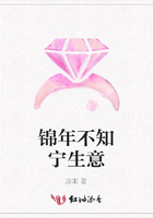 錦年不知寧生意在線閱讀