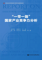 “一带一路”国家产业竞争力分析（全2册）在线阅读