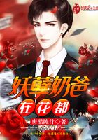 妖孽奶爸在花都在線閱讀