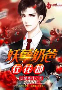 妖孽奶爸在花都