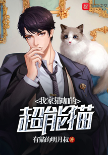 我家猫咖的超能猫