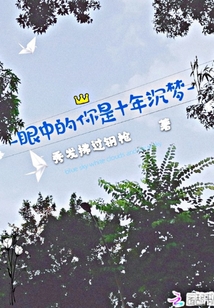 眼中的你是十年沉梦