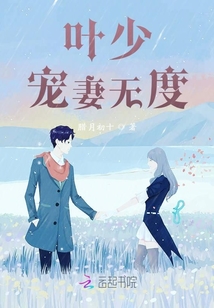 叶少宠妻无度