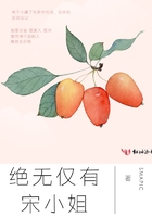 絕無僅有宋小姐在線閱讀