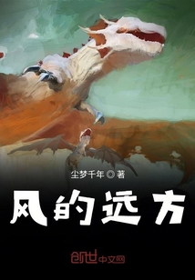 風(fēng)的遠(yuǎn)方
