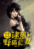 以愛為名：逮捕野貓逃妻在線閱讀