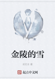 金陵的雪