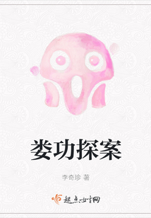 婁功探案