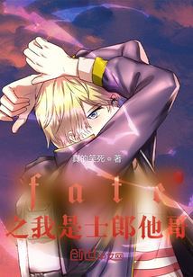 fate之我是士郎他哥