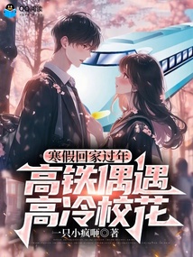 寒假回家过年，高铁偶遇高冷校花在线阅读