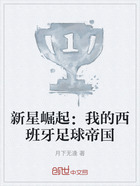 新星崛起:我的西班牙足球帝国在线阅读