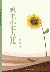 雞毛小不點兒