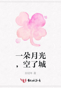 一朵月光,空了城