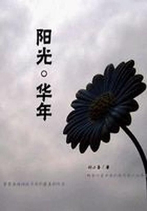 陽光。華年