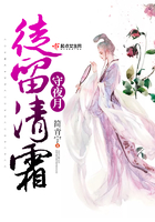 徒留清霜守夜月在線閱讀