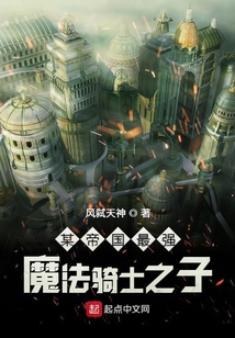 某帝國最強魔法騎士之子