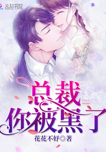 總裁你被黑了