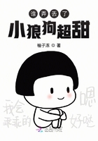 誰弄丟了小狼狗超甜在線閱讀