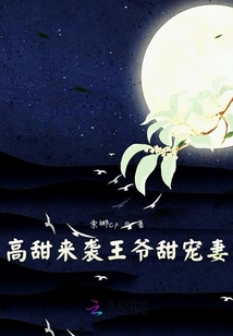 高甜来袭王爷甜宠妻