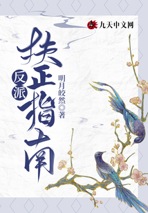 反派扶正指南