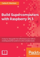 Build Supercomputers with Raspberry Pi 3在线阅读