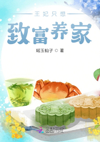 王妃只想致富養家在線閱讀