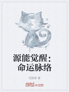 源能觉醒:命运脉络在线阅读