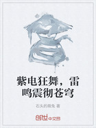 紫电狂舞,雷鸣震彻苍穹在线阅读