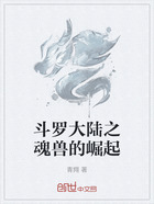 斗罗大陆之魂兽的崛起在线阅读