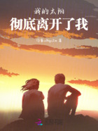 我的太阳彻底离开了我在线阅读