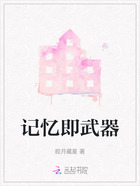 记忆即武器在线阅读