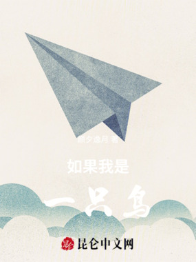 如果我是一只鸟在线阅读