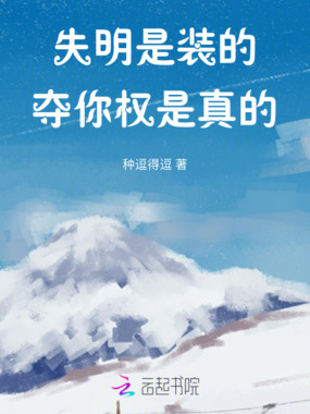 失明是装的,夺你权是真的在线阅读