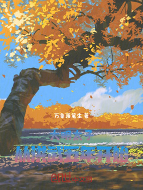 大明太子：从洪武五年开始在线阅读