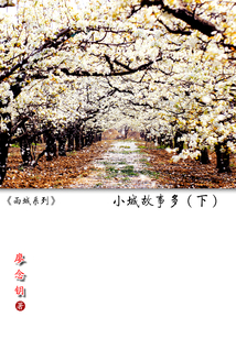 小城故事多（下集）