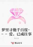 夢里尋他千百度---愛，已成往事在線閱讀