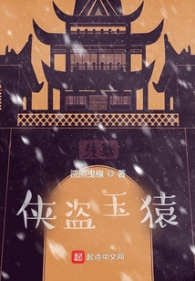 侠盗玉猿