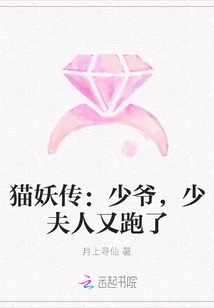 貓妖傳：少爺，少夫人又跑了