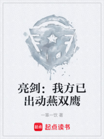亮劍：我方已出動燕雙鷹