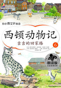 西顿动物记6:吉吉的回家路
