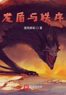 龍盾與秩序