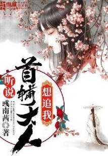 聽說首輔大人想追我