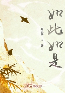 如此如是