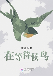 在等待候鳥