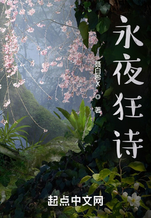 永夜狂詩