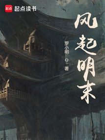 风起明末（陈望）在线阅读