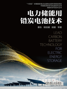 電力儲能用鉛炭電池技術