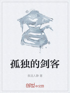 孤独的剑客在线阅读